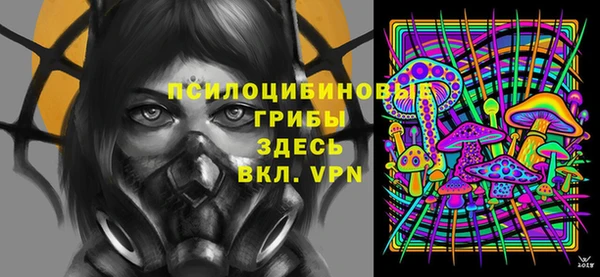 спиды Алексеевка